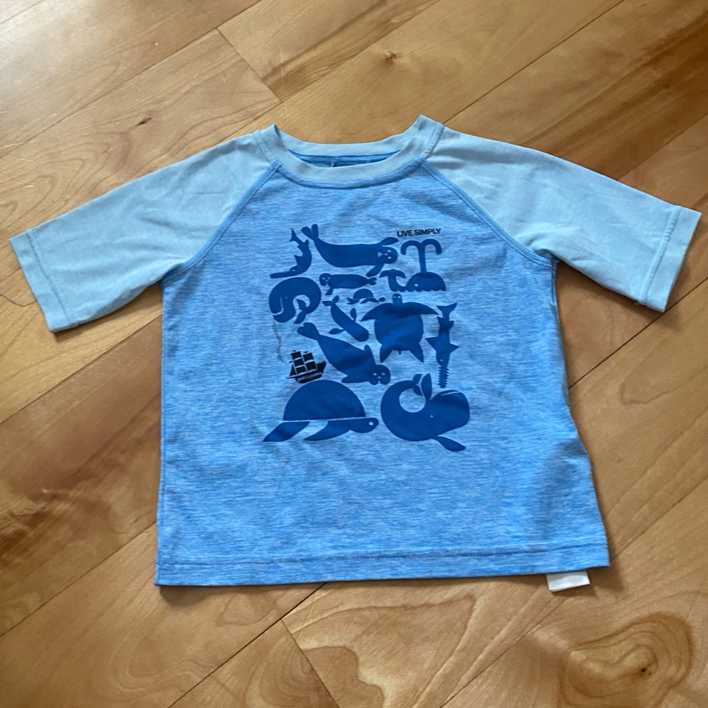 Patagonia Capilene Silkweight T-Shirt - EUC - 2T